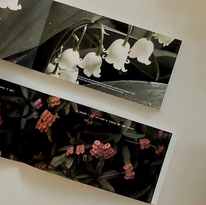 歌单迁移到Spotify